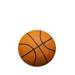 Collection image for: Basketballs